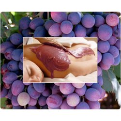 Algaes & grapes - Body wrap gel ORE Body care