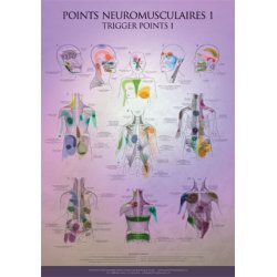 Chart - Trigger Points 1 & 2  Shop by category - Massage Boutik Products