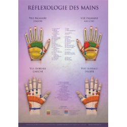 Hand Reflexology Chart  Shop by category - Massage Boutik Products